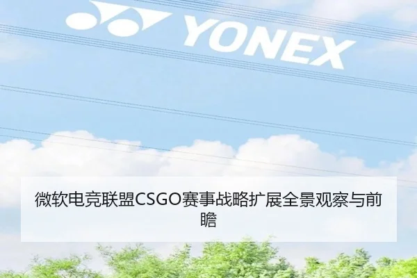 微软电竞联盟CSGO赛事战略扩展全景观察与前瞻（6686sports）